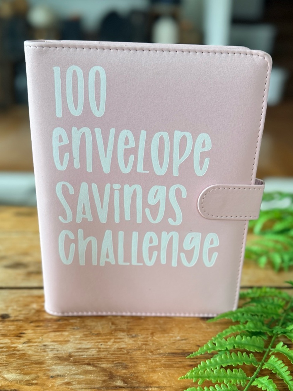 Pink '100 Envelope Savings Challenge' Savings Binder NEW